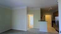 This single-floor space offers a clean, functional layout with an open-concept design that connects the living area to the kitchen. The living area is finished with wall-to-wall carpet and painted in a neutral sage-green tone, creating a calm and understated ambiance. Crown molding adds a refined architectural detail, running along the upper perimeter of the walls and contributing to a sense of polish throughout the space.

A peninsula or partial wall separates the living area from the kitchen, featuring a dark countertop surface that contrasts with light-colored cabinetry visible in the background. The kitchen area includes what appears to be a stainless steel refrigerator and under-cabinet lighting, lending a practical yet modern character to the cooking space.

A doorway visible from the main living area leads to an adjacent room, which appears to have tile or hard flooring and a paneled door, suggesting a hallway, bathroom, or additional room beyond. The ceilings are a standard height with a smooth white finish, and white baseboards frame the floors throughout, providing clean visual transitions between walls and flooring. Overall, the space presents a tidy, move-in ready environment.