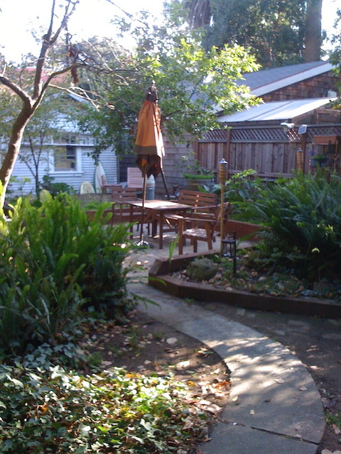 Large, spacious, shared backyard - 1534 Benton St