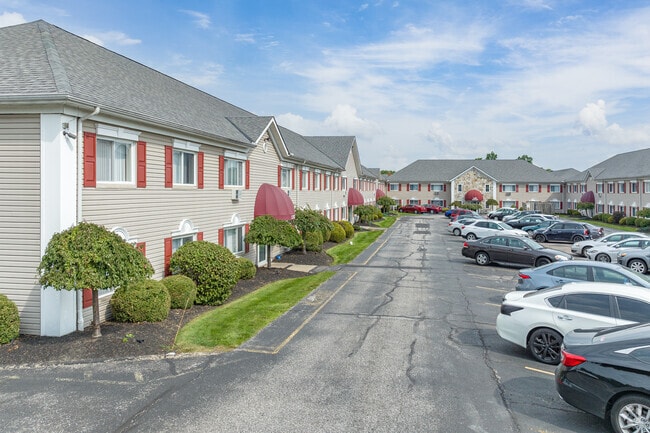 Primary - Weeping Cherry Village