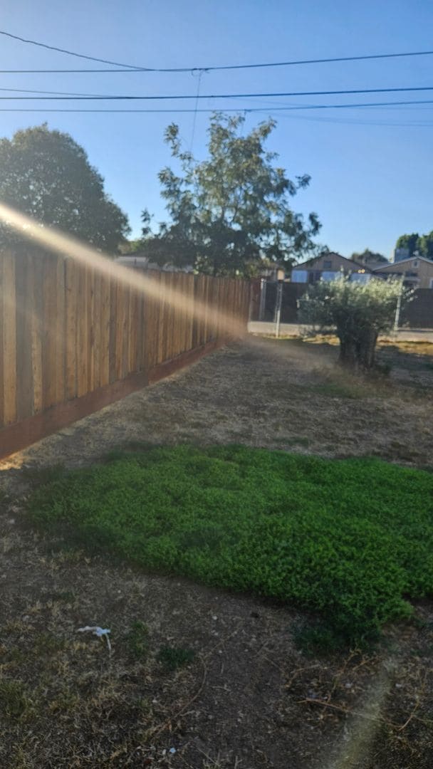 Foto del edificio - Two Bed One Bath Home with Shed and large backyard and large Driveway.