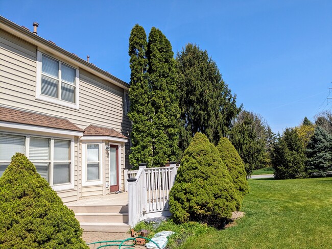 Backyard - 9503 Wayne Brown Dr
