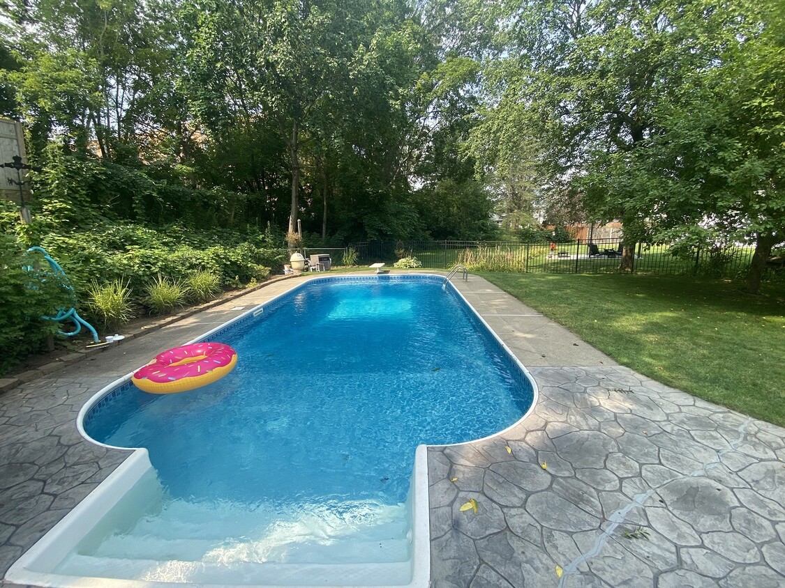 Backyard Heated Swimming Pool - 32 W Circular St