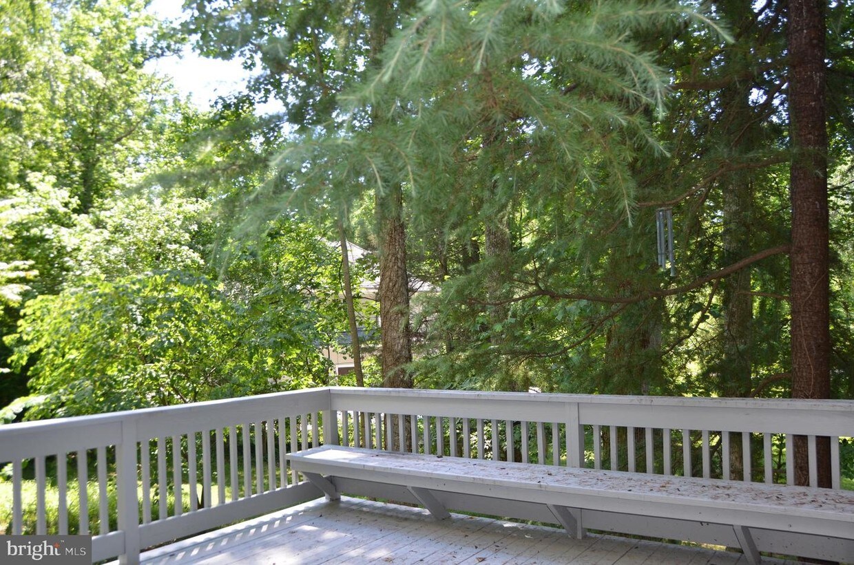 Foto principal - 8500 Beech Tree Rd