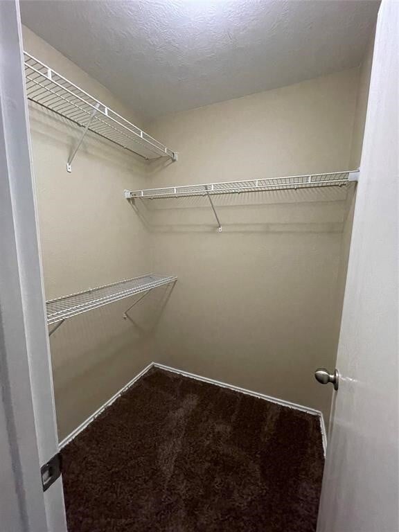 Building Photo - 9106 Aurora Park Ln