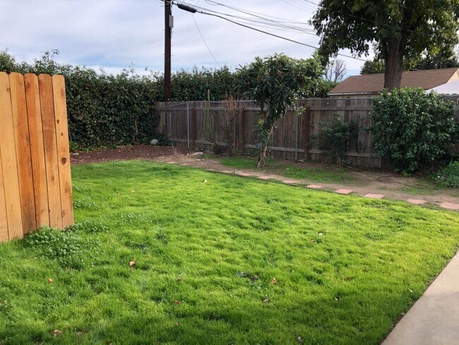 Fresh sod just laid - 6550 Aldea Ave