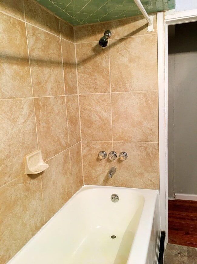 Building Photo - 703 Ivy St