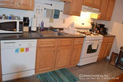 Building Photo - Whole Foods Area Brighton 4 bed 2 bath 9/1