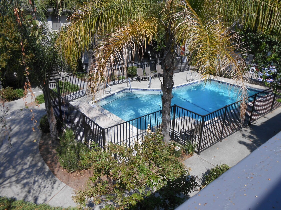 Foto principal - 3036 Willow Pass Rd