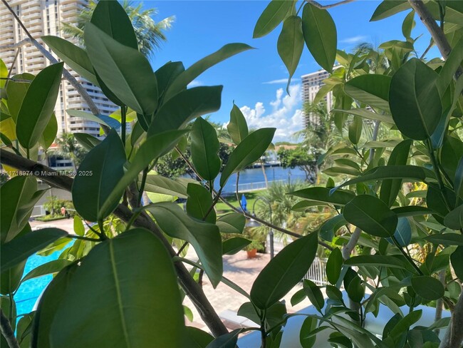 Foto del edificio - 19390 Collins Ave