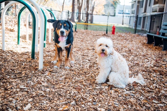 Building Photo - Appleton Square