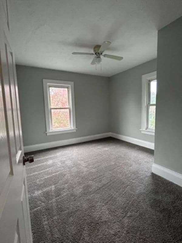 Building Photo - 179 E Mapledale Ave