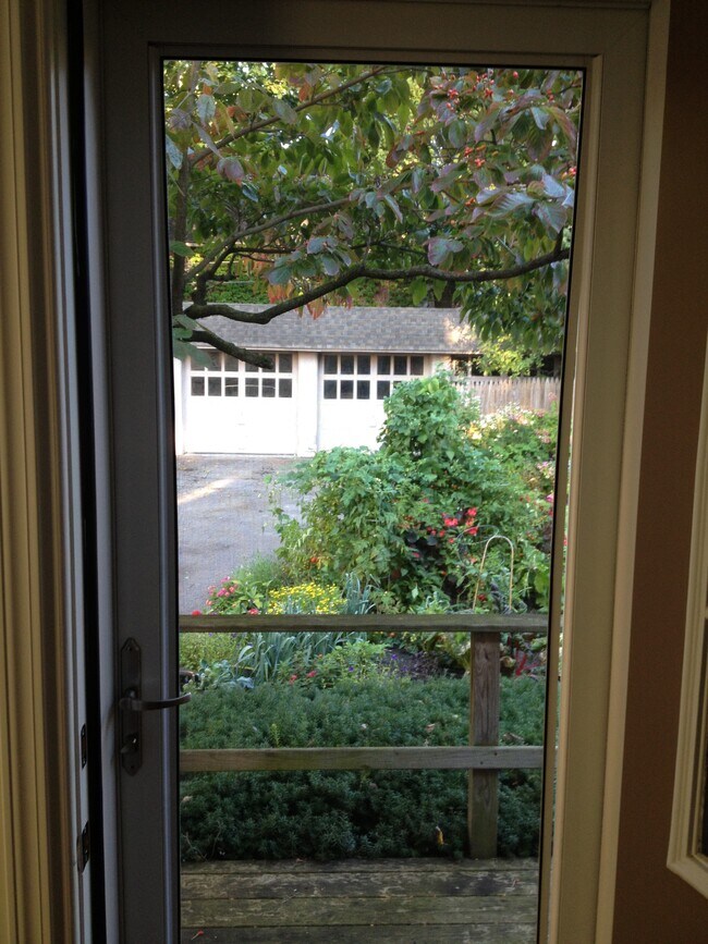View out back door - 63 Meigs St