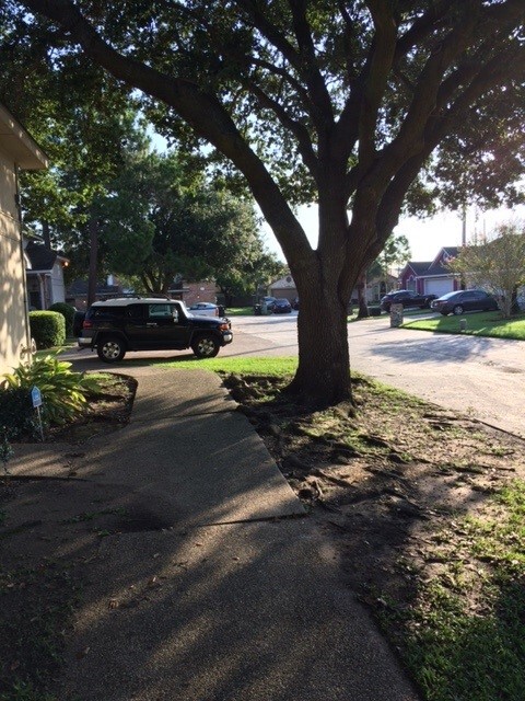 Street view - 150 Cypress Grove Ct