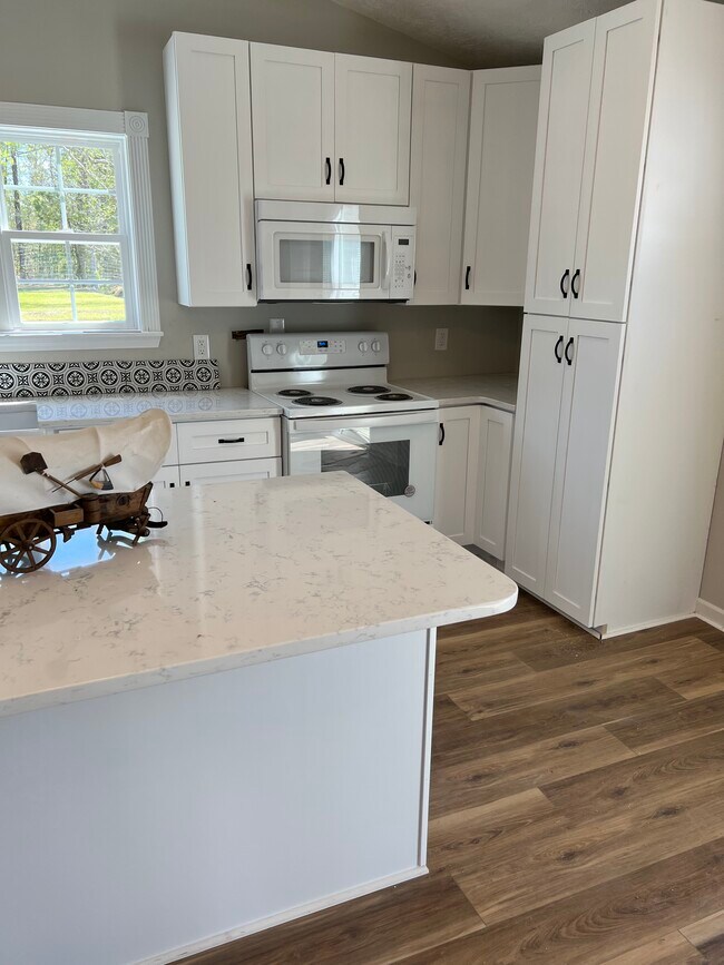 Building Photo - 207 Mt Zion St