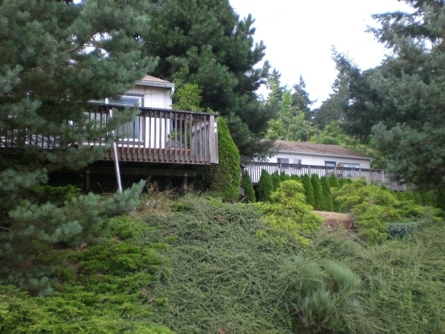 Foto del edificio - Mt. View Cottages