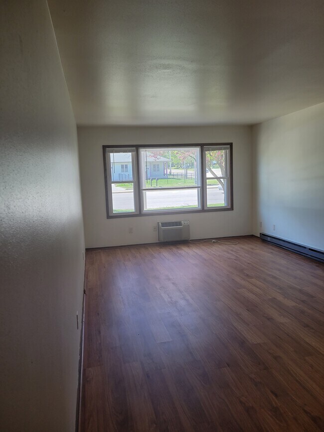 Living room - 4224 W Howard Ave