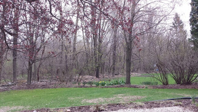 Building Photo - 3988 Elaines Way