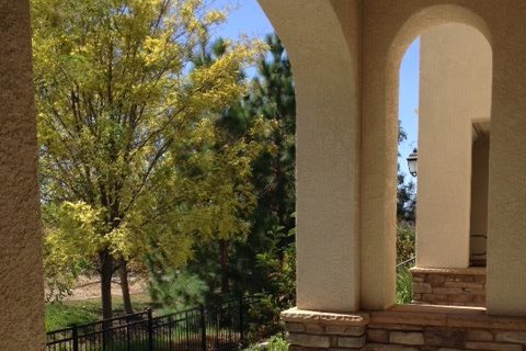 Covered front porch - 25 Heligan Ln