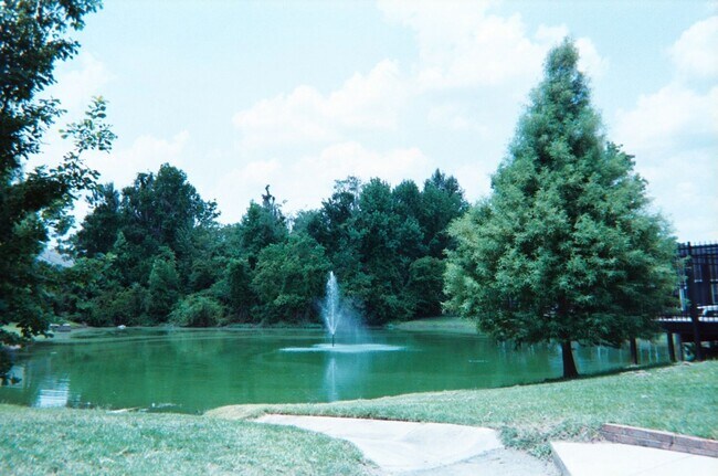 Foto del edificio - Mill Pond accross from G'ville Health and Fitness
