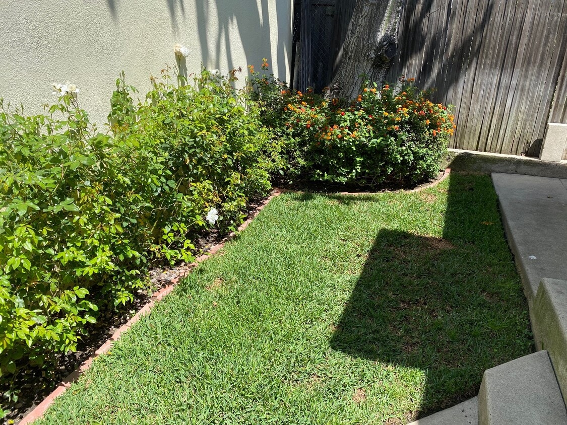Gated Private Yard - 5042 Sawtelle Blvd
