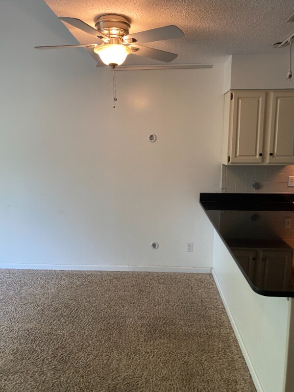 Building Photo - 1311 Prospect Village Ln