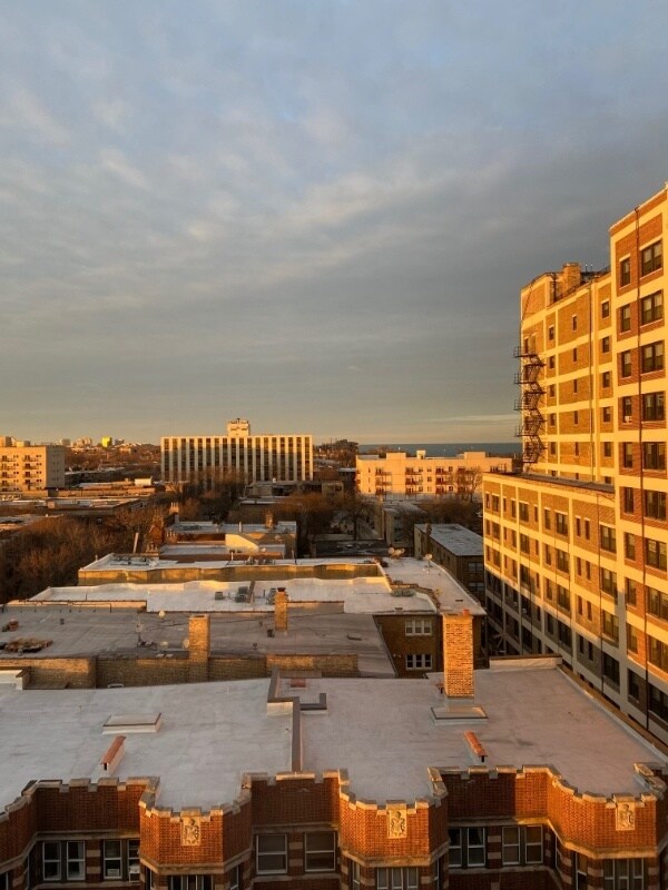 Photo - 1263 W Pratt Blvd Apartment