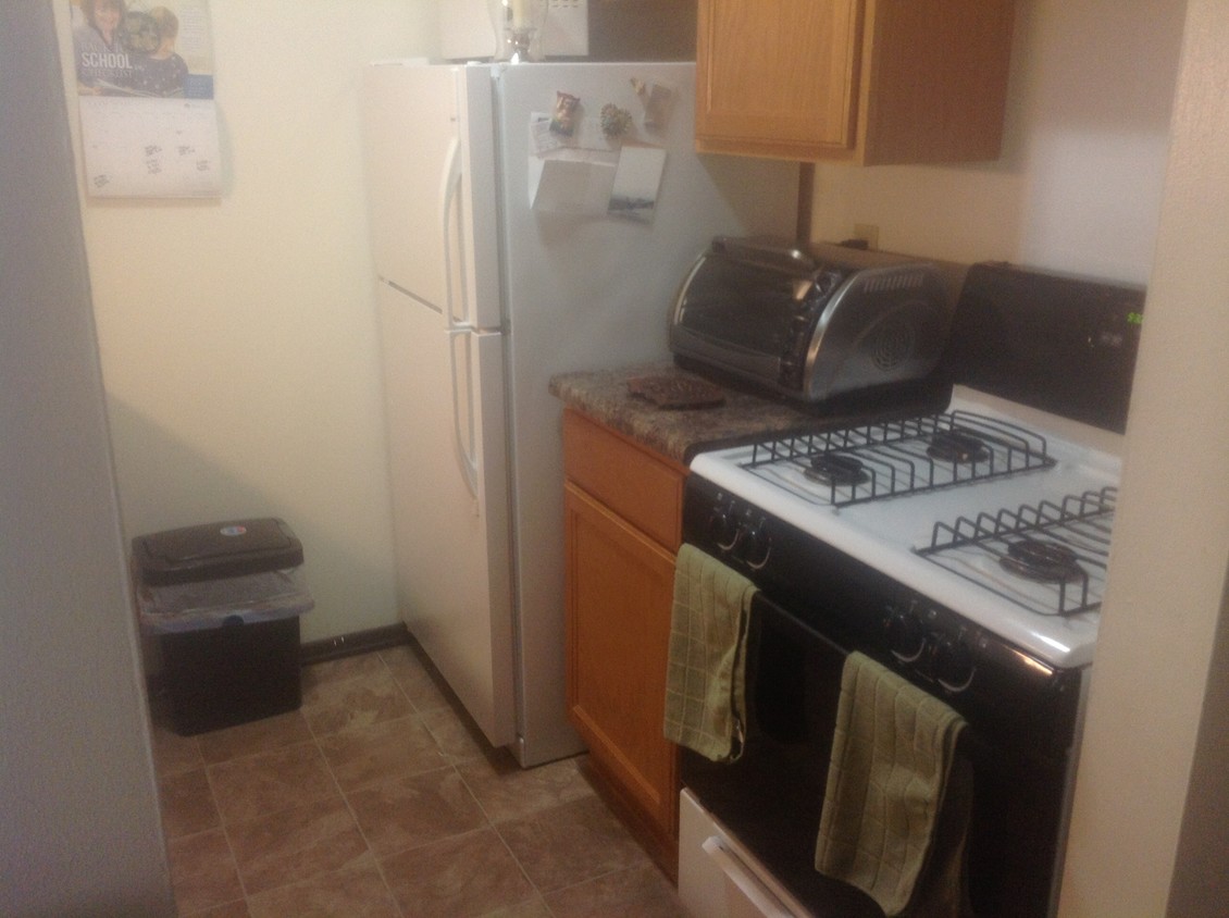 FRIDGE AND STOVE ONLY INCLUDED APPLIANCES. - 420 S Finch St