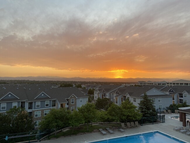 Photo - 10184 Park Meadows Dr Apartment