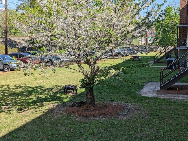 Building Photo - 513 Saluda Ave