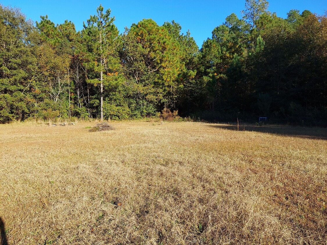 161 Suzanne Ct, Gaston, SC 29053 House for Rent in Gaston, SC