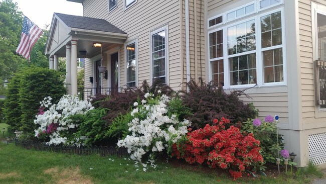 Foto del edificio - 43 Evergreen Ave