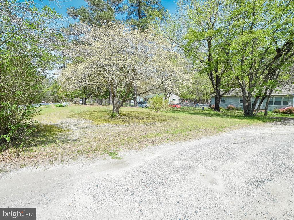 32592 Mt Olive Rd, Salisbury, MD 21804 House Rental in Salisbury, MD