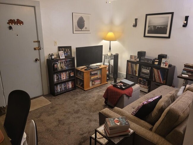 One Bedroom Apartment - 420 S Front St