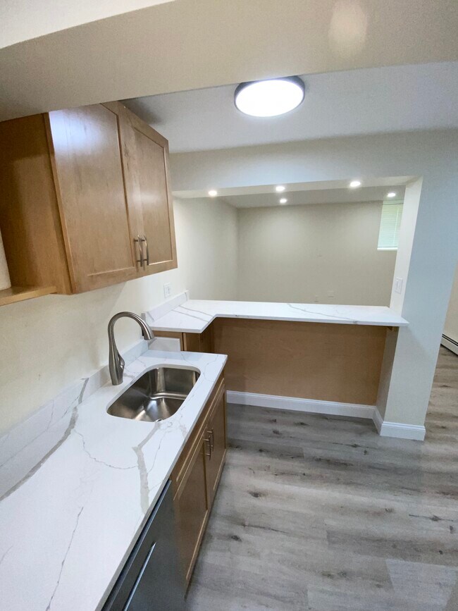 Grifo de fregadero de cocina de estilo europeo con rociador tipo almohada. - 26 Hazelwood St