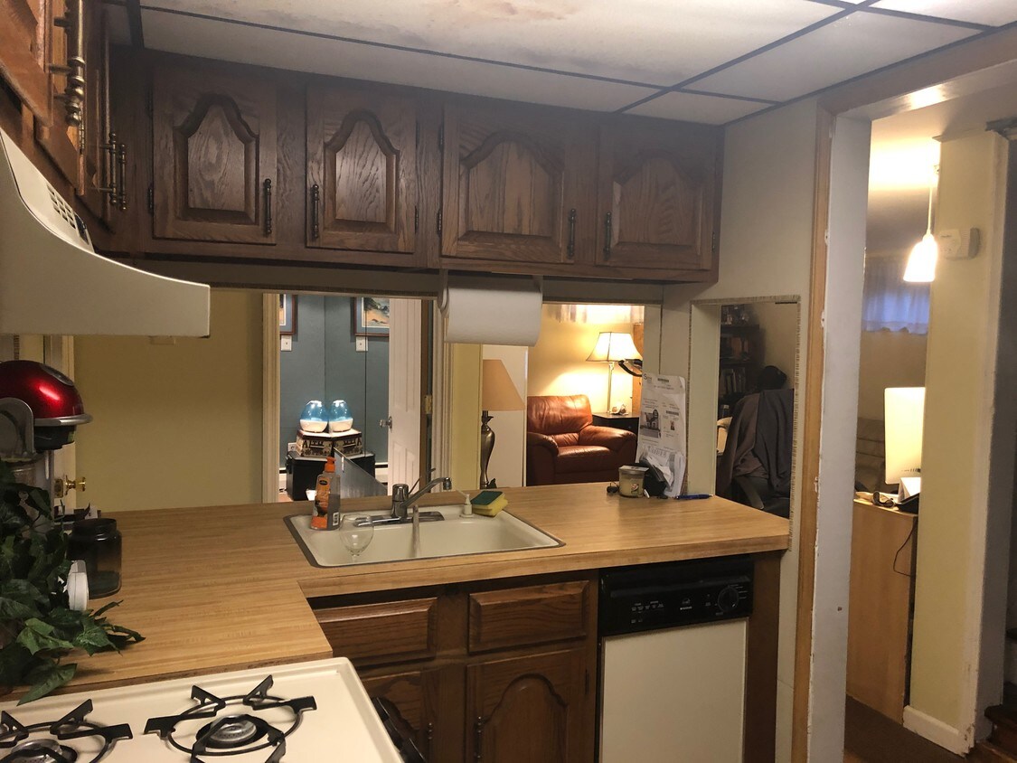 View from kitchen - 45 MacKay Dr