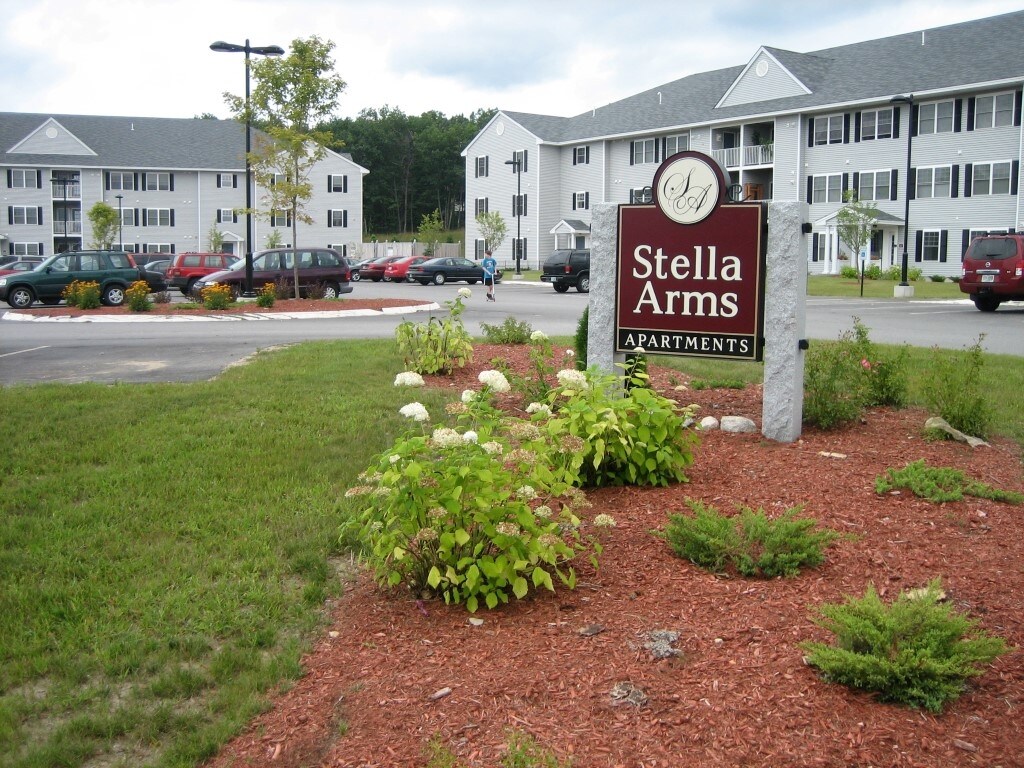 Primary Photo - Stella Arms