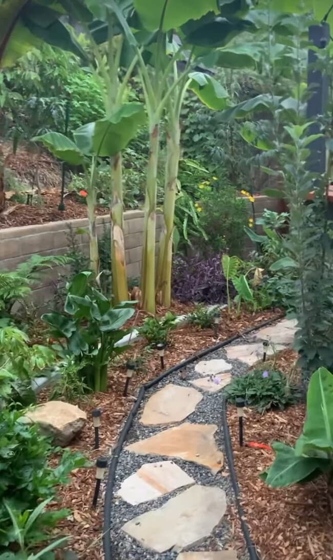 Building Photo - 395 Plaza Calimar