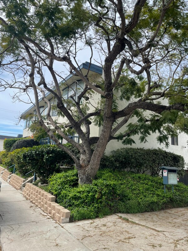 Foto principal - 1412 Graham St