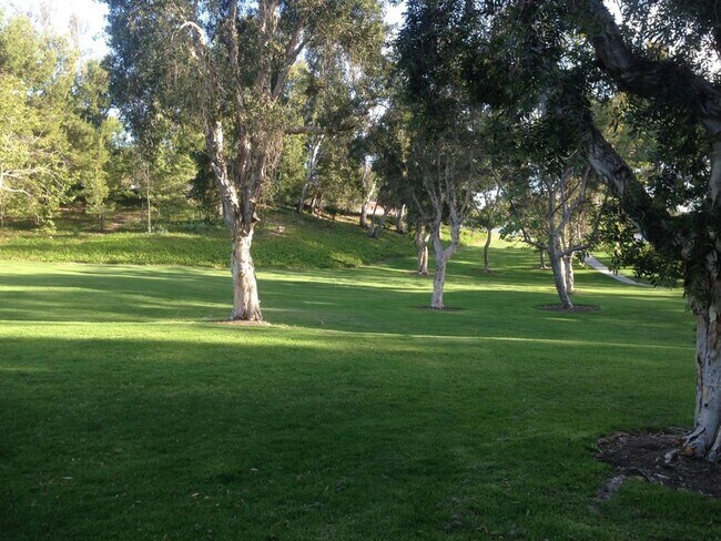 Foto del edificio - Tanglewood 3 Bedroom, Corner Unit-Single Story