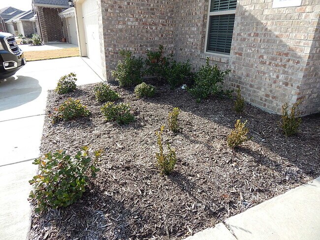 Building Photo - 1217 River Oak Ln