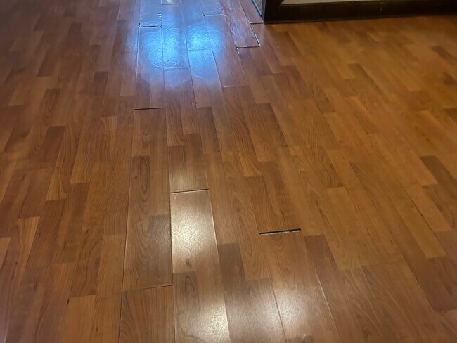 Lower level Hard wood floor - 2432 Stevens Ave