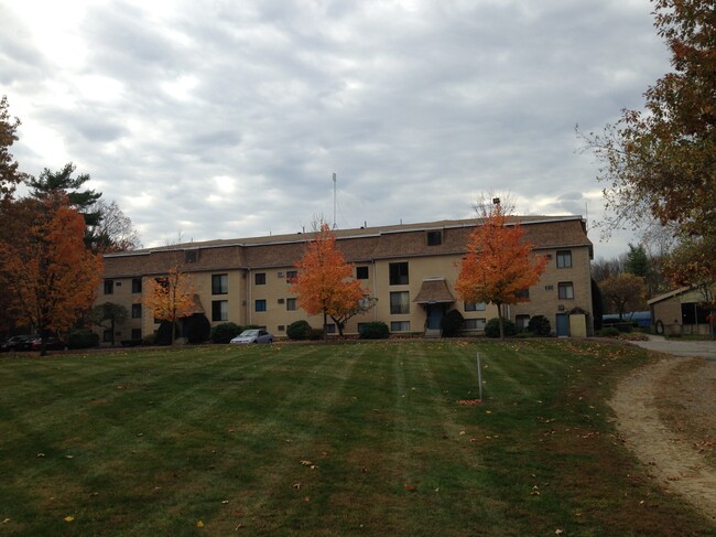 parte trasera del edificio - 146 Swanson Rd