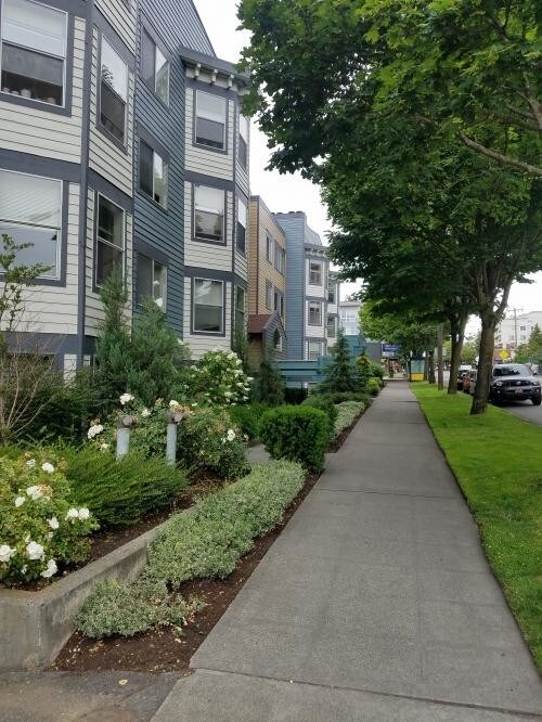 Building Photo - 1 bedroom in Seattle WA 98103