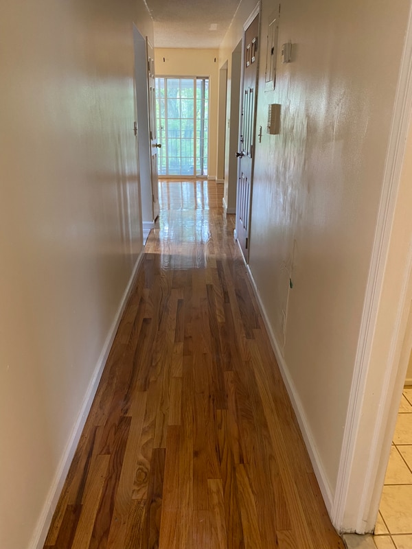 4350 De Reimer Ave, The Bronx, NY 10466 Room for Rent in The Bronx