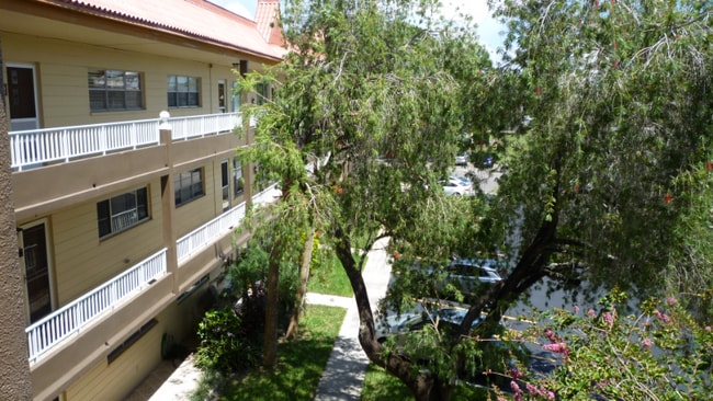 Building Photo - 2402 Ecuadorian Way