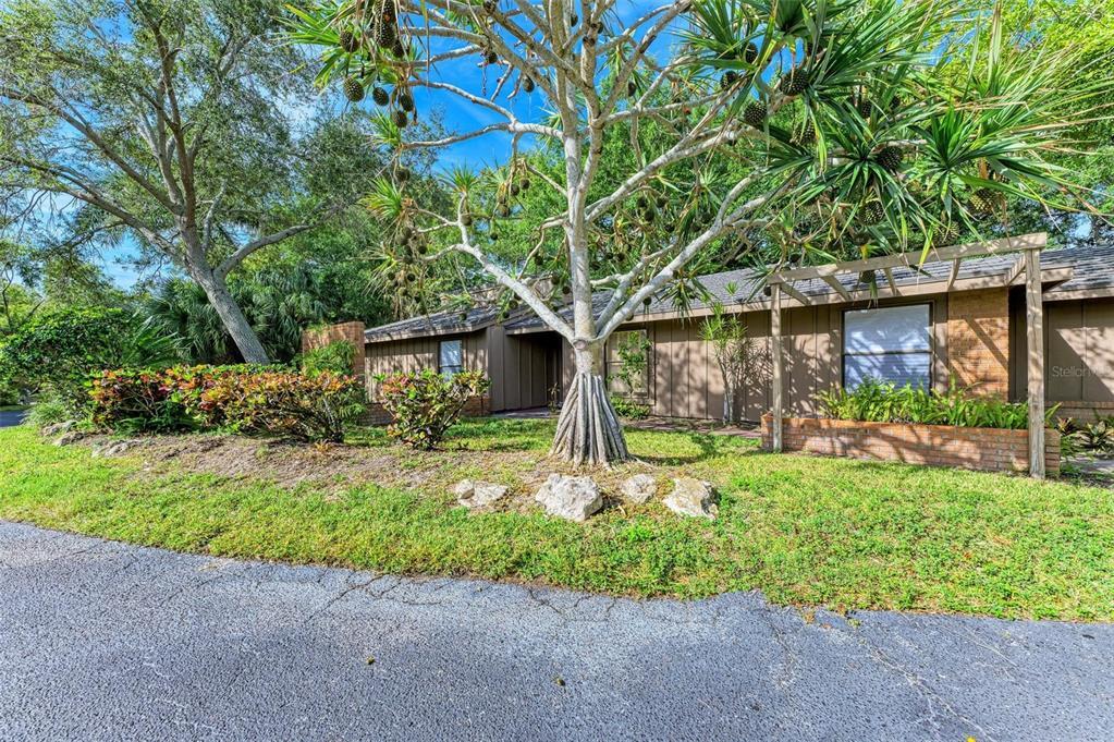 Primary Photo - 1304 Water Oak Way N
