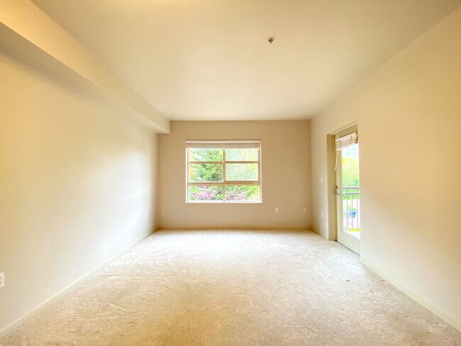 Foto del edificio - Great Condo For Rent