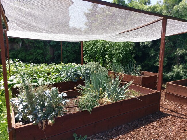 Organic gardens - 298 Wisconsin Ave