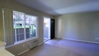 This single-floor space offers a functional and comfortable layout designed for everyday living. The main living area is finished with wall-to-wall carpeting that adds warmth underfoot, while neutral-toned walls provide a clean, versatile backdrop throughout. A large sliding window along one wall floods the room with natural light and frames views of the lush, tree-lined surroundings outside, creating a pleasant connection to the outdoors. A wall-mounted air conditioning unit beneath the window ensures year-round climate comfort. The front entry features a classic dark door with a decorative arched glass panel at the top, adding a touch of character to the entryway. The entry transition area is finished with a tile or hard surface flooring, offering a practical boundary between the outdoors and the carpeted living space. The overall ambiance is calm and understated, making it well-suited for a variety of furnishing styles. The straightforward, open layout of the main room allows for flexible furniture arrangements, accommodating both relaxed and functional living configurations. Natural light from the front-facing window and entry door enhances the sense of openness throughout the space.