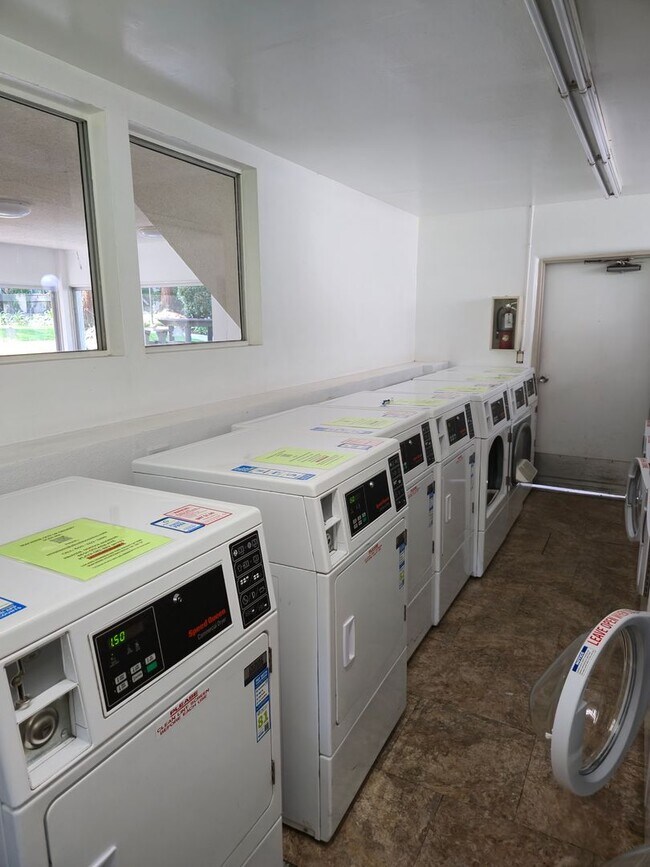 Building Photo - 3 Bedroom Apartment near to LMU, minutes t...